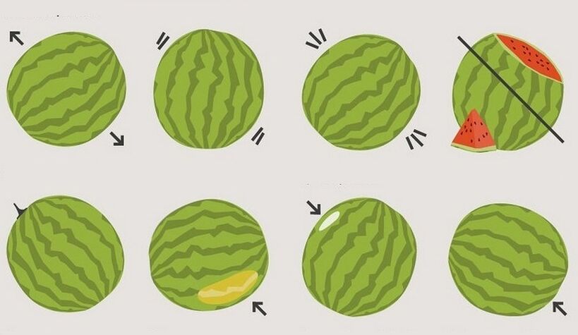 как да изберем диня